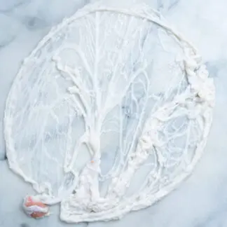 Crépinet, Zuiderzee Varken