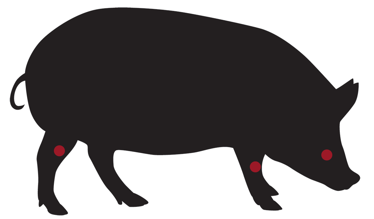 locatie: Erwtensoep vleespakket, Zuiderzee Varken