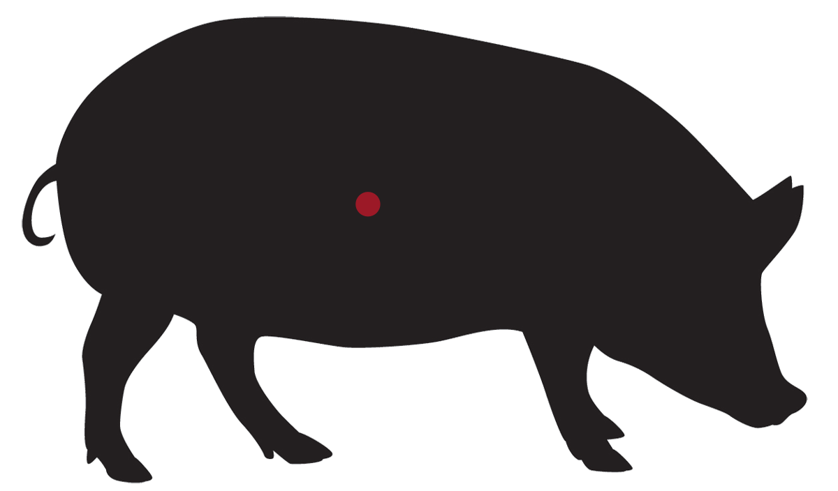 locatie: Paté Mix, Zuiderzee Varken